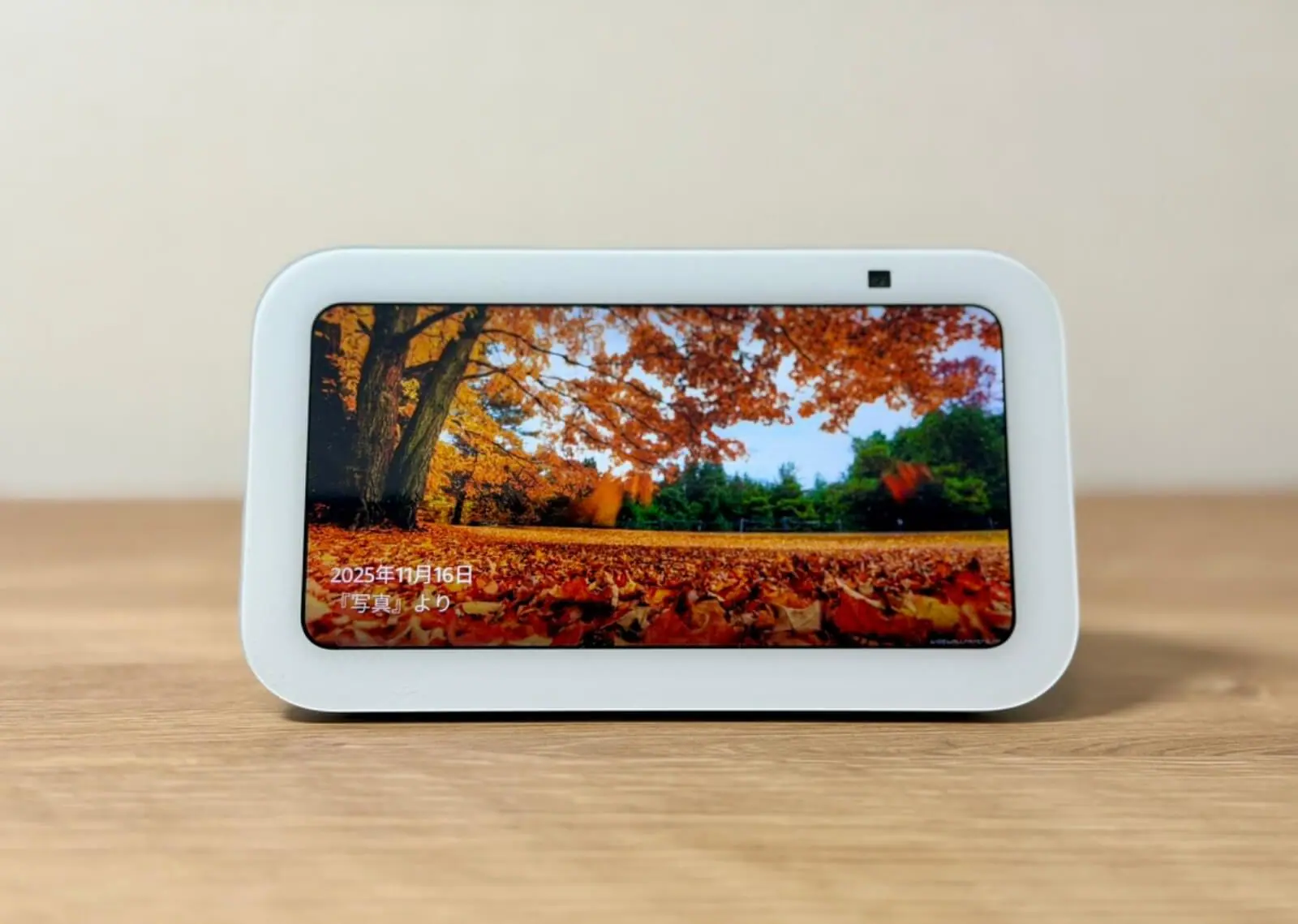 Echo Show 5のある生活｜導入から活用術、メリット・デメリットまで