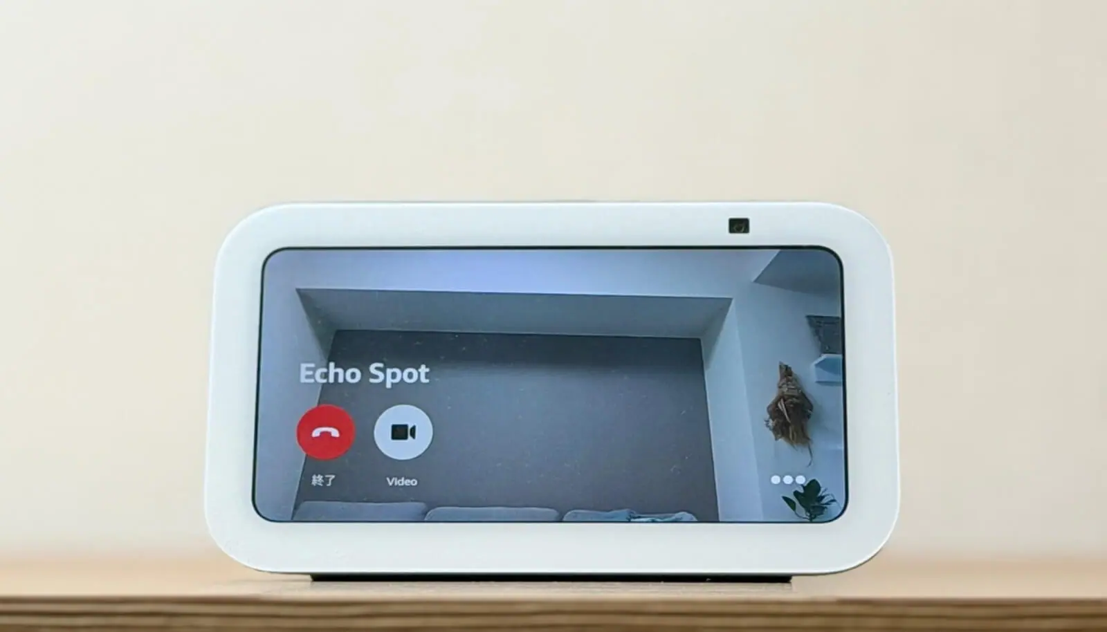 Echo Show 5のある生活｜導入から活用術、メリット・デメリットまで