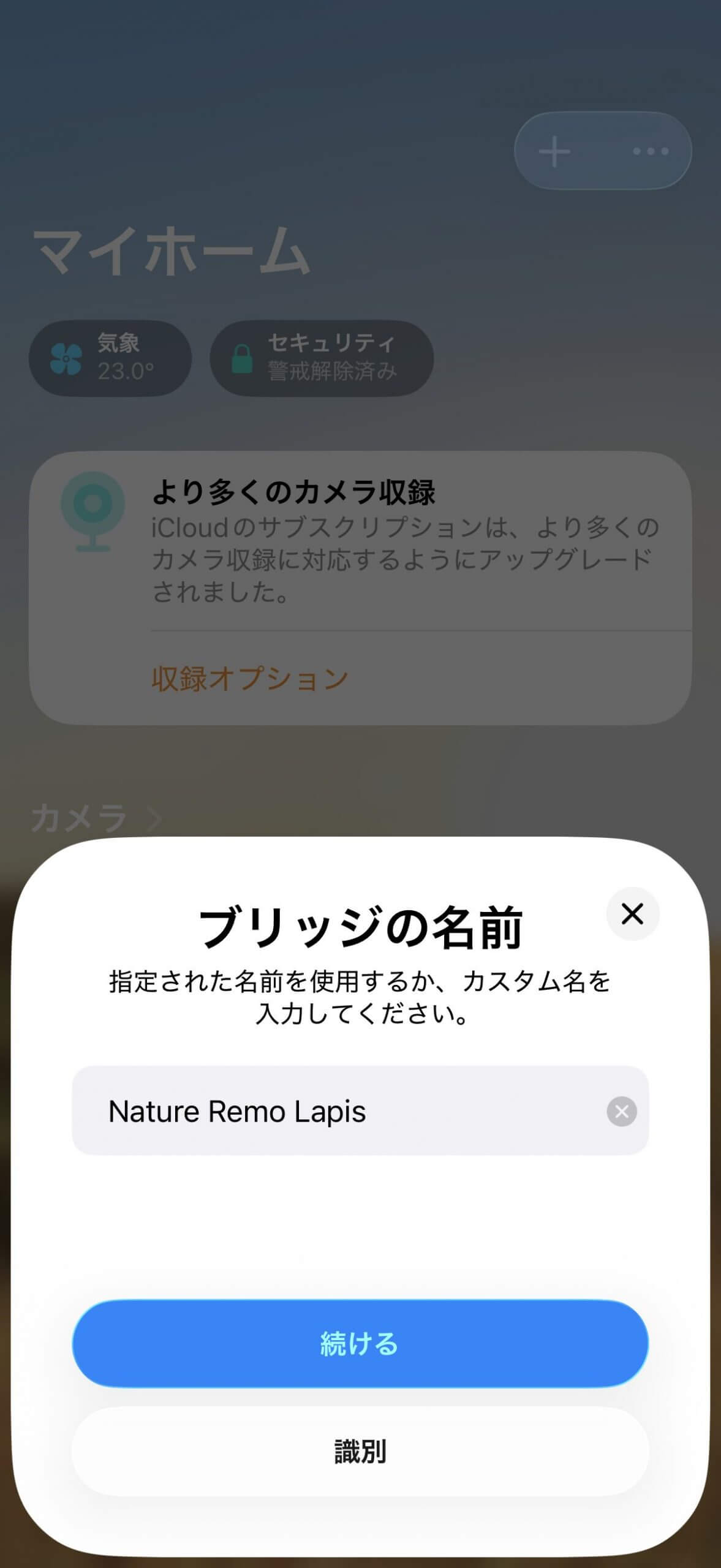 ブリッジの名前をNature Remo Lapisに設定