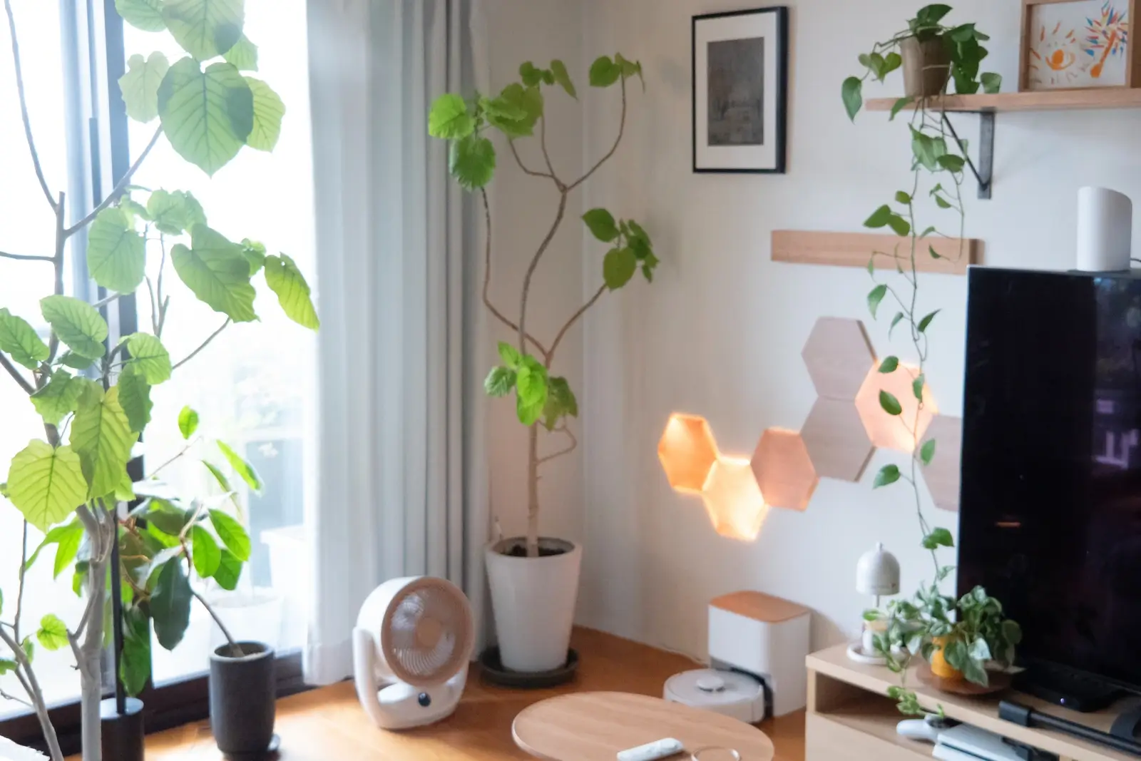 温かみのある光で点灯するNanoleaf Elementsと観葉植物