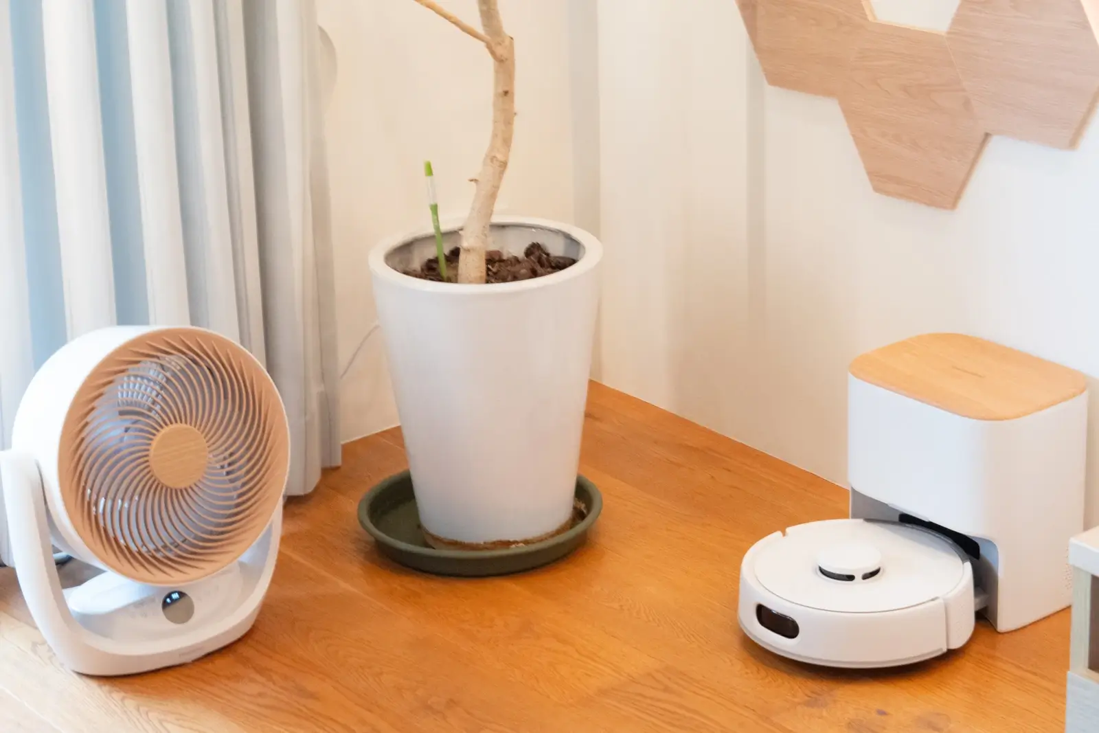 観葉植物の横に置かれた木目調のサーキュレーターとロボット掃除機