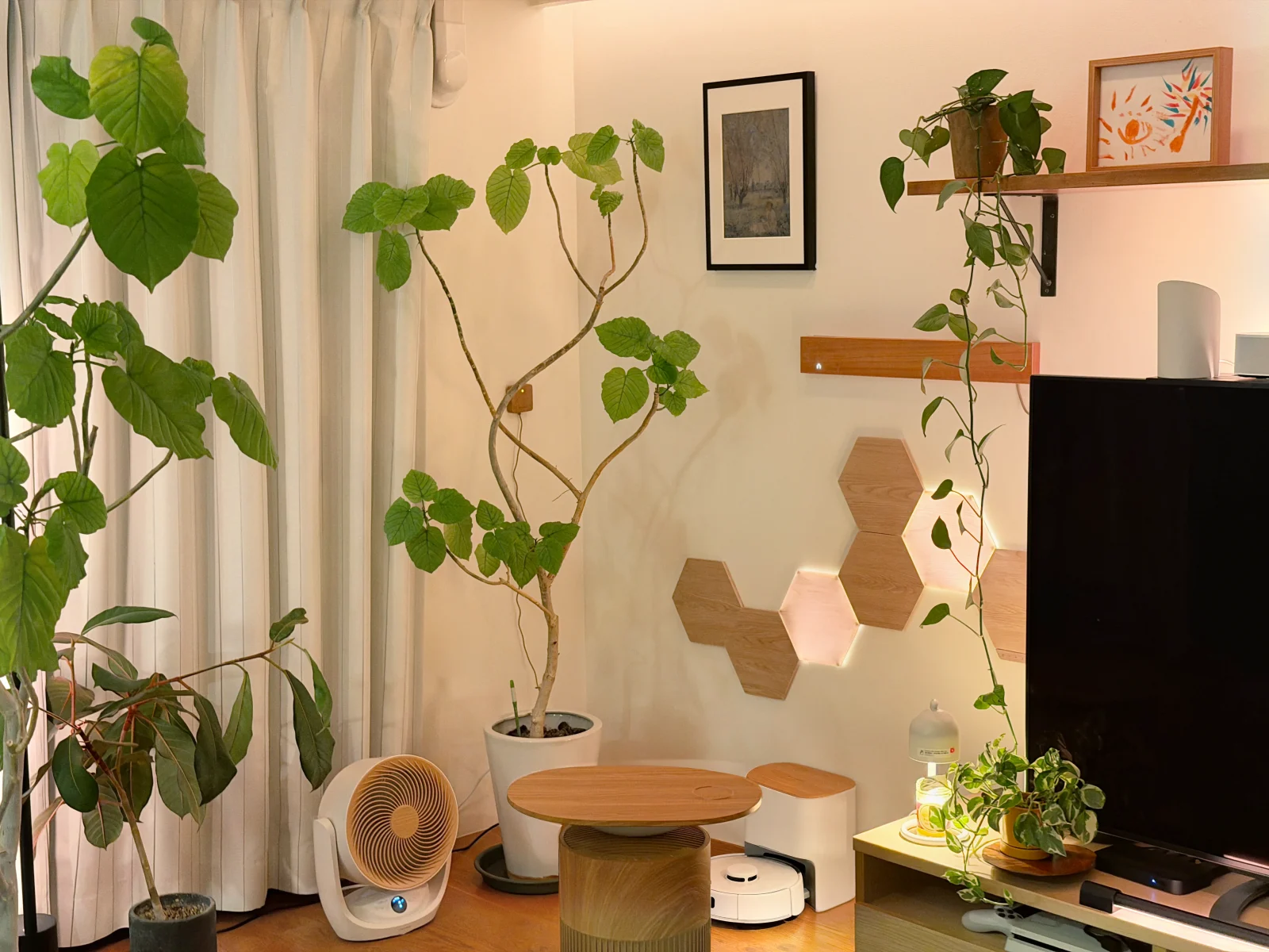 muiボードとNanoleafの照明、SwitchBotの木目調家電が観葉植物になじむ「ぬくもりデジタル」のリビング